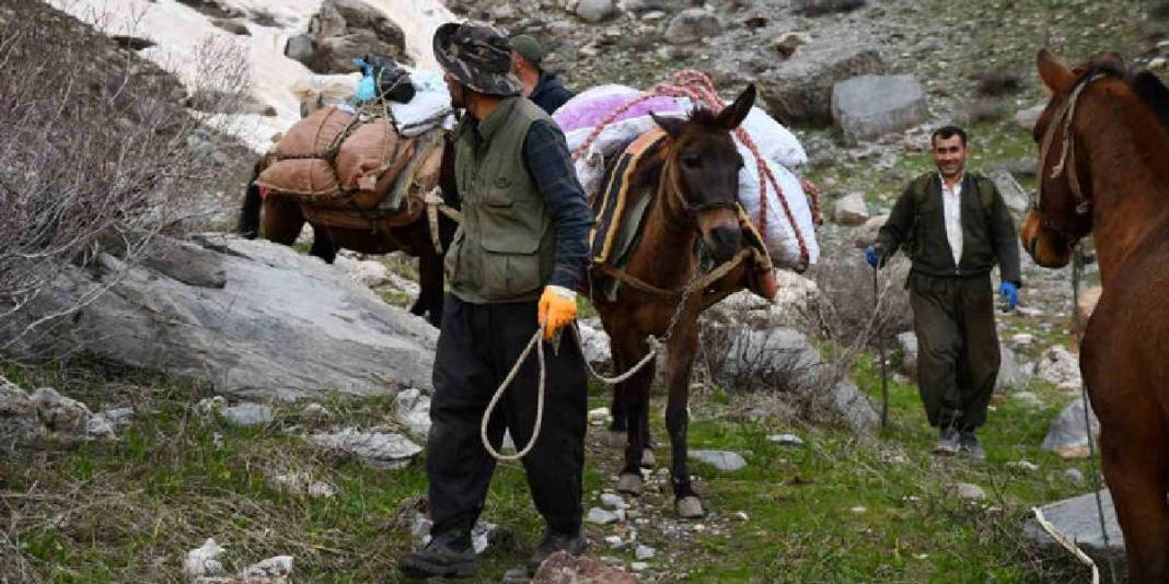 Sabah ezanında katırlara atlayıp yola çıkıyorlar! Dağ bayır gezip tek tek topluyorlar 1